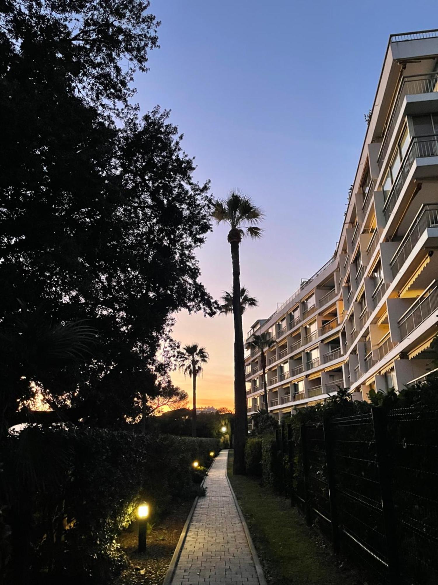 C037-Nice Studio With Garden And Parking - Near Beach Cannes Exteriér fotografie